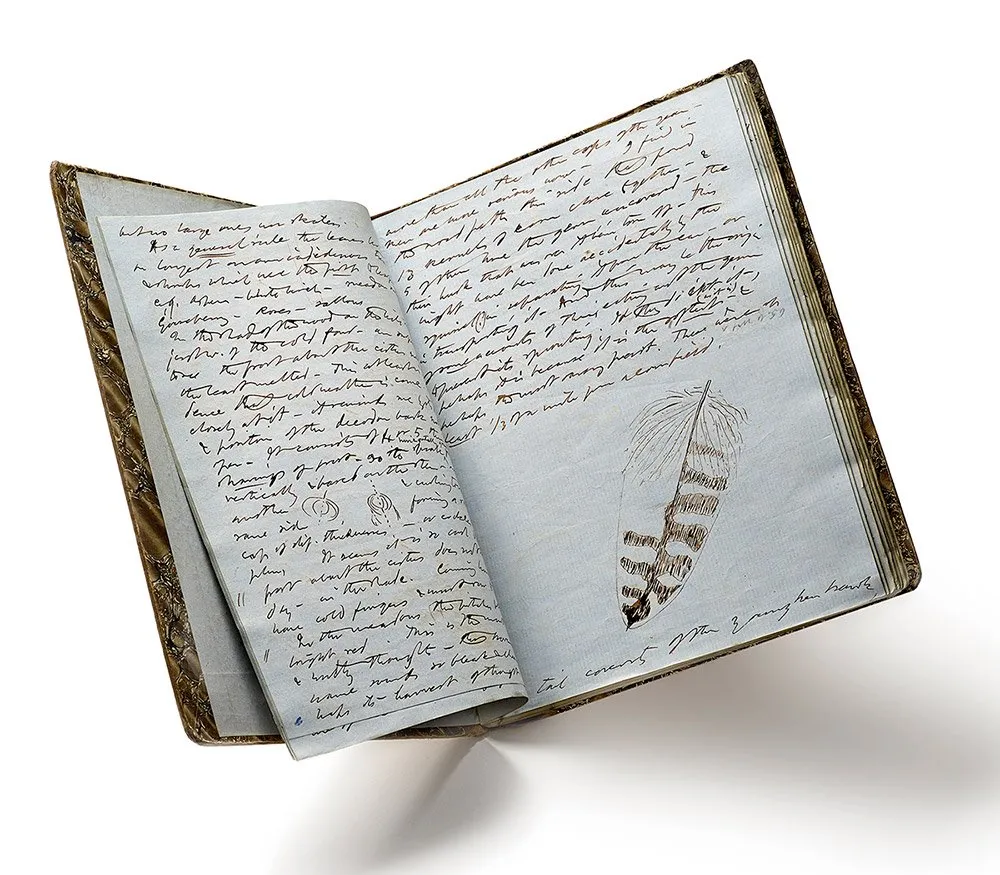 A late Thoreau journal open to dense entries and a sketched hawk feather